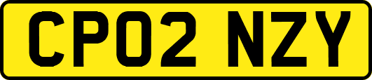CP02NZY