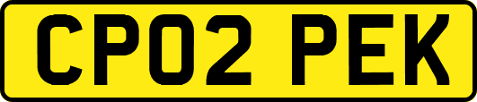 CP02PEK