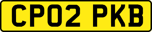 CP02PKB