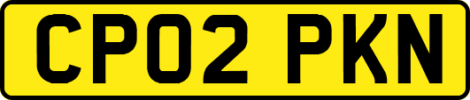 CP02PKN
