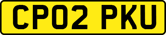 CP02PKU