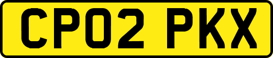 CP02PKX