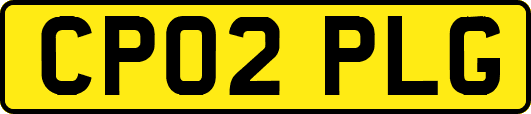 CP02PLG