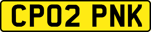 CP02PNK