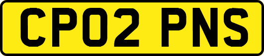 CP02PNS