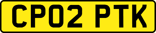 CP02PTK