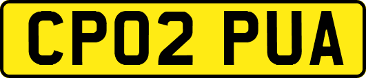 CP02PUA