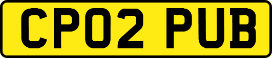 CP02PUB