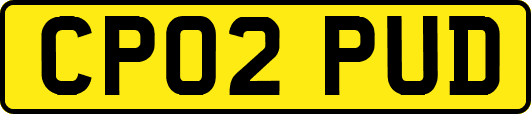 CP02PUD