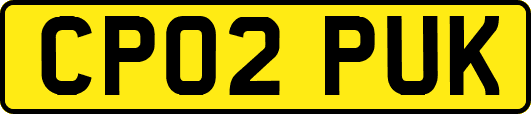 CP02PUK