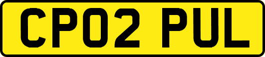 CP02PUL