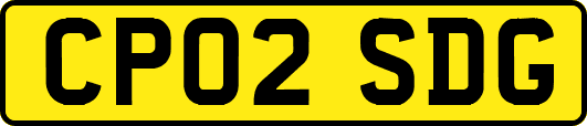CP02SDG
