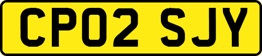 CP02SJY