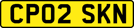 CP02SKN
