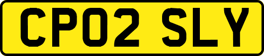 CP02SLY