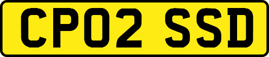 CP02SSD