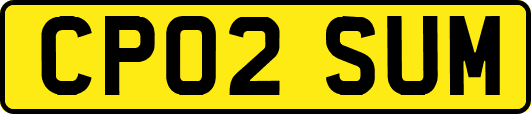 CP02SUM