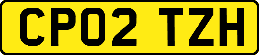 CP02TZH