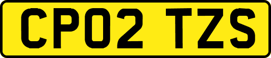 CP02TZS