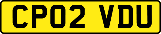 CP02VDU