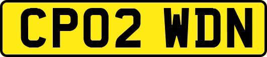 CP02WDN