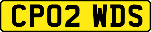 CP02WDS