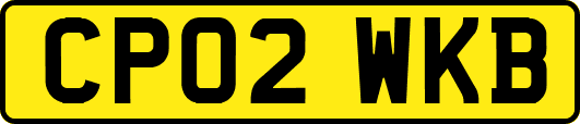 CP02WKB