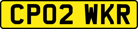 CP02WKR