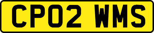 CP02WMS