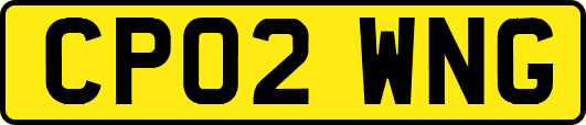 CP02WNG