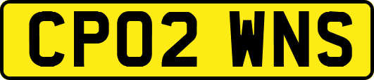 CP02WNS