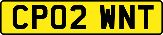 CP02WNT