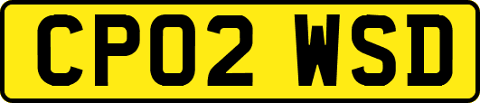 CP02WSD