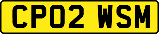 CP02WSM