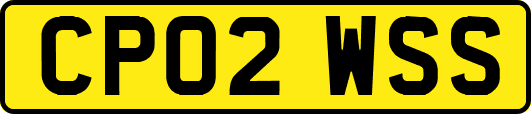 CP02WSS