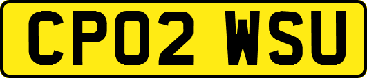 CP02WSU
