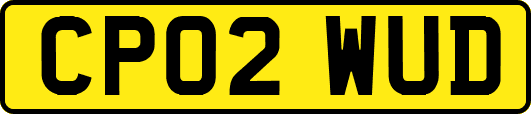 CP02WUD