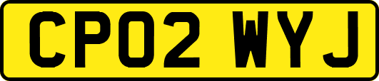 CP02WYJ