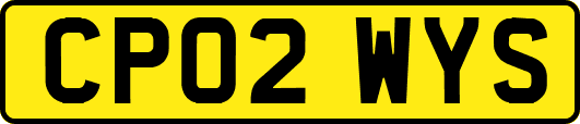 CP02WYS