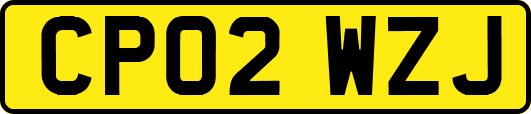CP02WZJ