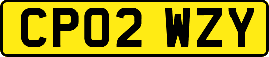 CP02WZY