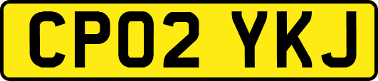 CP02YKJ