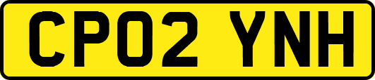 CP02YNH