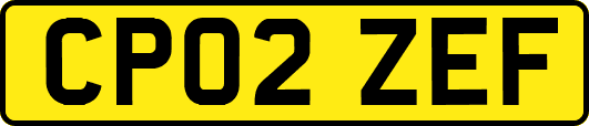 CP02ZEF