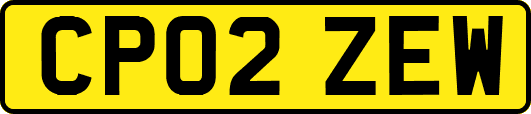 CP02ZEW