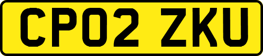 CP02ZKU