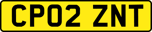 CP02ZNT