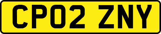 CP02ZNY