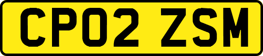 CP02ZSM
