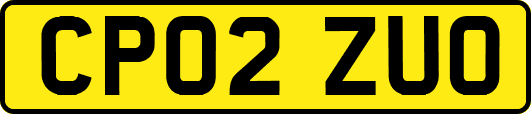 CP02ZUO